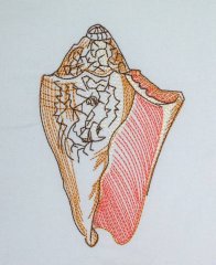 BFC0632 Color Sketches Shells 03