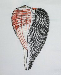 BFC0632 Color Sketches Shells 05