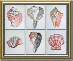 BFC0632 Color Sketches-Shells