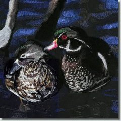 BFC0659 Ducks