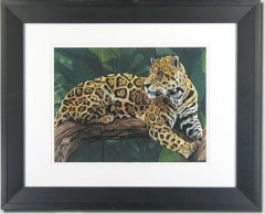 BFC0668 Window-Jaguar