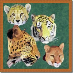 BFC0672 Window-Big Cat Medley