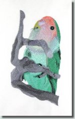 BFC0674 Lovebird No. 1