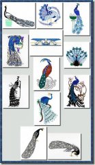 BFC0714 A Dozen Peacocks