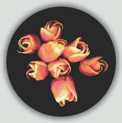 BFC0720 Window - Tulips
