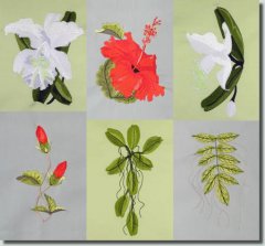 BFC0722 Tropical Flowers