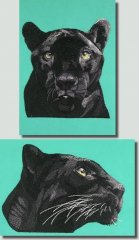 BFC0736 Two Panther Portraits