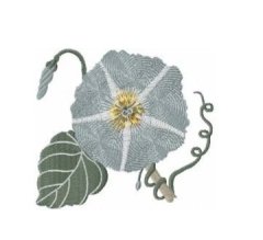 RMG757 Vintage Floral 6