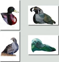 BFC0797 Game Birds II