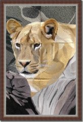 Lion Combo