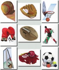 BFC0859 For The Sports Fan