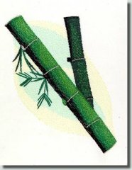 BFC0862 Bamboo