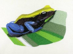 BFC0902-05 Frog No.5