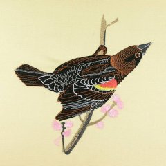 BFC0917 Audubon Birds by the Dozen- 02