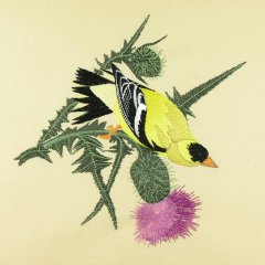 BFC0917 Audubon Birds by the Dozen- 05
