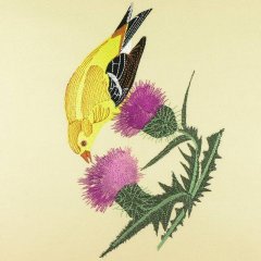 BFC0917 Audubon Birds by the Dozen- 06