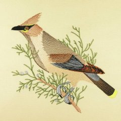 BFC0917 Audubon Birds by the Dozen- 09