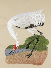 BFC0923 Audubon Water Birds by the Dozen 06