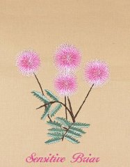 BFC0939 Texas Wildflowers I 02