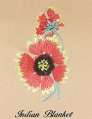 BFC0939 Texas Wildflowers I 04