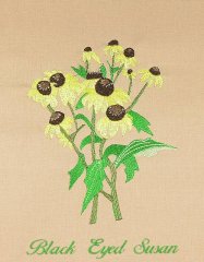 BFC0939 Texas Wildflowers I 05