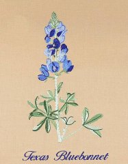 BFC0939 Texas Wildflowers I 07
