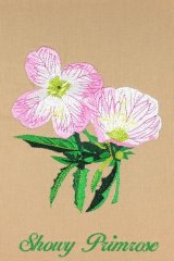 BFC0944 Texas Wildflowers II 02