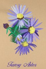 BFC0944 Texas Wildflowers II 03