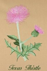 BFC0944 Texas Wildflowers II 05