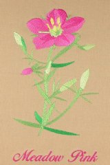 BFC0944 Texas Wildflowers II 07