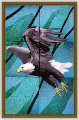 Seasons of the Eagle
