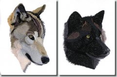 BFC0983 Two Wolf Portraits