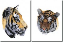 BFC0995 Two Tiger Portraits