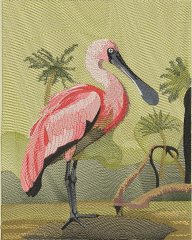 BFC2163 The Spoonbill