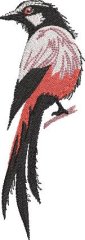 BFC32270 Red Bird Two