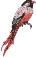 BFC32270 Red Bird Five