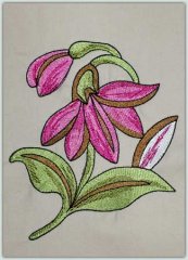 Decorative Floral 1
