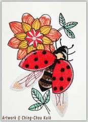 Ching Chou Ladybug