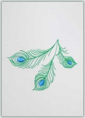 Peacock Feathers