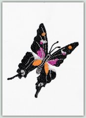 Black & Orange Butterfly
