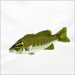 Bass