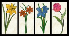 CCQ5123 - READ Flowers Set 3