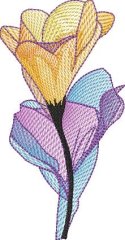 BFC32281 Sheer Flower Two  Ways