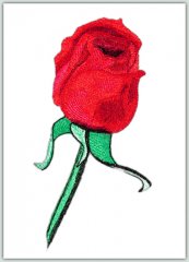 Red Rose Bud
