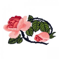 Pink Roses