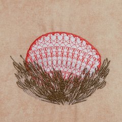 FBFC2015 Ostrich Easter Egg