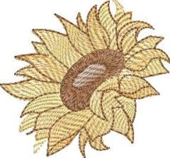 Sally King Sunflower