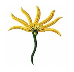 RMG159 Horizon Flower