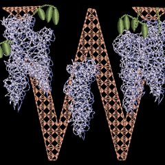 BFC31856 Spring Flowers Alphabet W