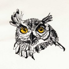 Sketchy Owl